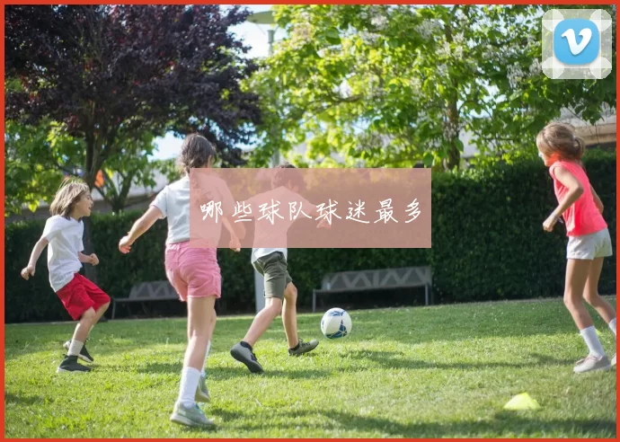 哪些球队球迷最多