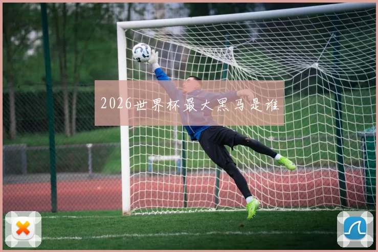 2026世界杯最大黑马是谁